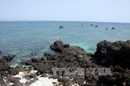 Tăng cường quản lý Khu bảo tồn biển Lý Sơn 